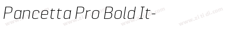 Pancetta Pro Bold It字体转换